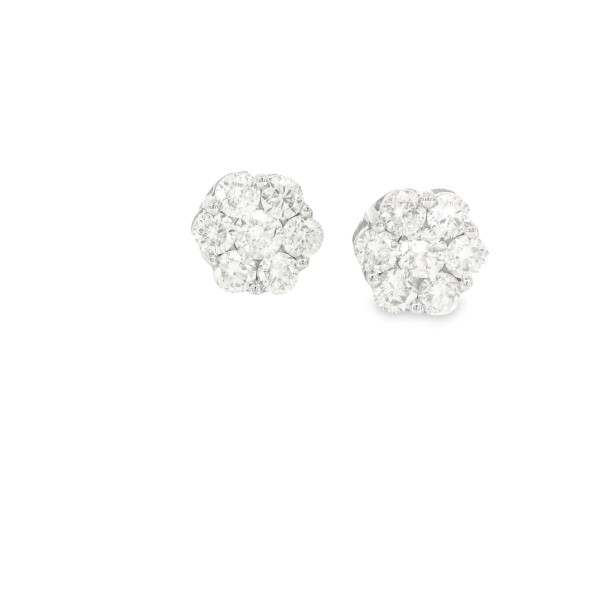 14kt White Gold Earring