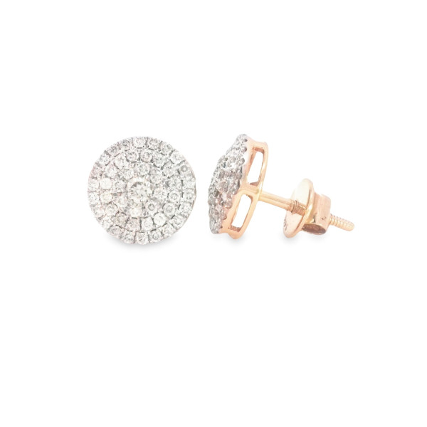 14kt Rose Gold Earring
